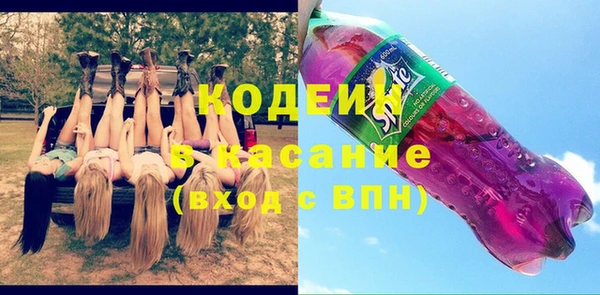 сатива Верея