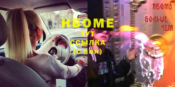 сатива Верея